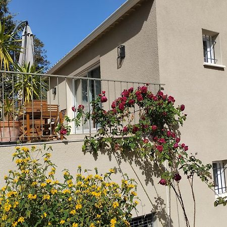 Charmante Maison Avec Jardin Aux Portes Des Gorges De L'Ardeche Saint-Julien-de-Peyrolas Zewnętrze zdjęcie